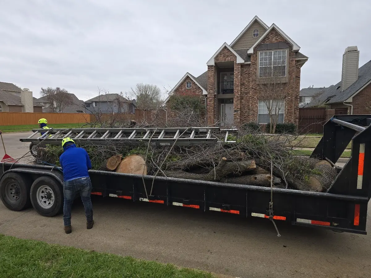 Expert Crown Reduction with proper safety equipment in Knoxboro